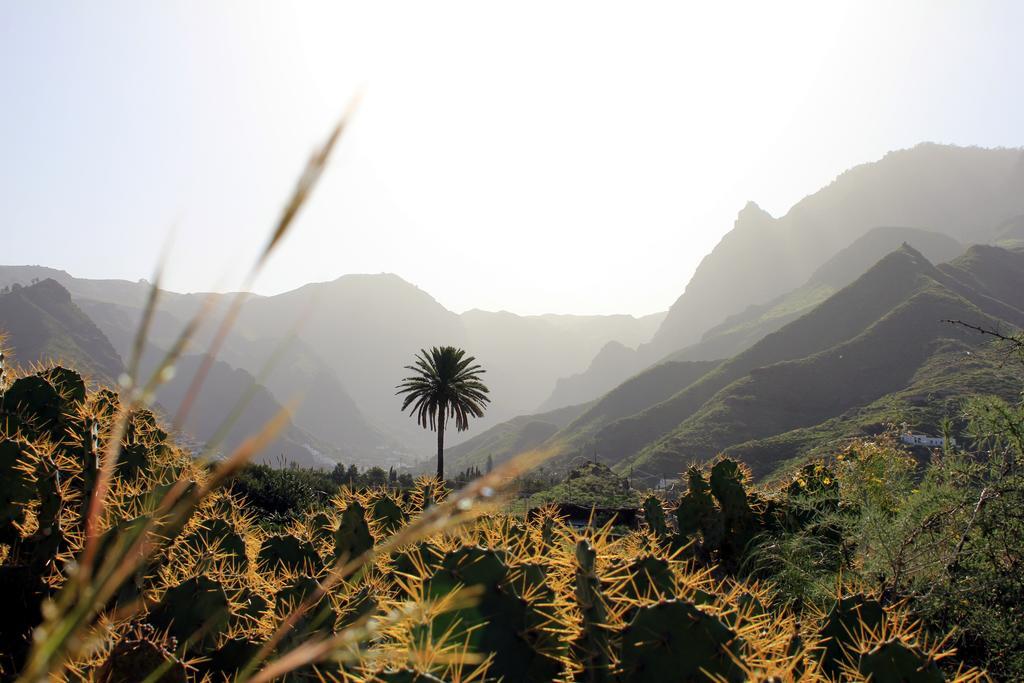 La Papaya - Eco - Yoga - Hiking - Hostel Агаэте Экстерьер фото
